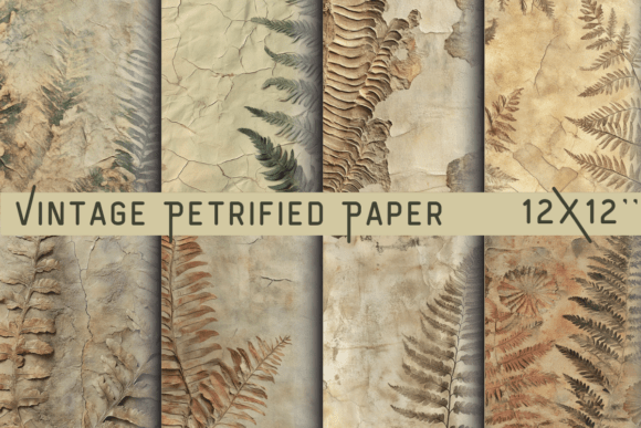 Download Vintage Petrified Paper - Premium Resources